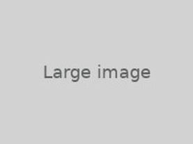 IASME Gold Certified with white border.jpg