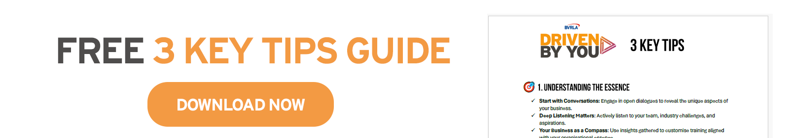 key tips guide banner.png